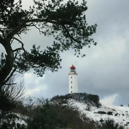 Bsw Hiddensee